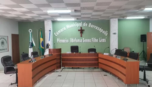 Câmara aprova cessão de veículos para Associação dos Feirantes e APAE de Borrazópolis








