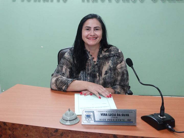 Câmara de Borrazópolis parabeniza Vereadora Vera Lucia da Silva 